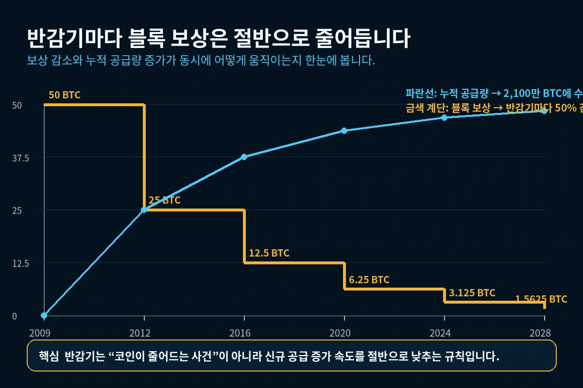 비트코인 반감기별 블록 보상 감소와 누적 공급량 변화를 함께 보여주는 그래프