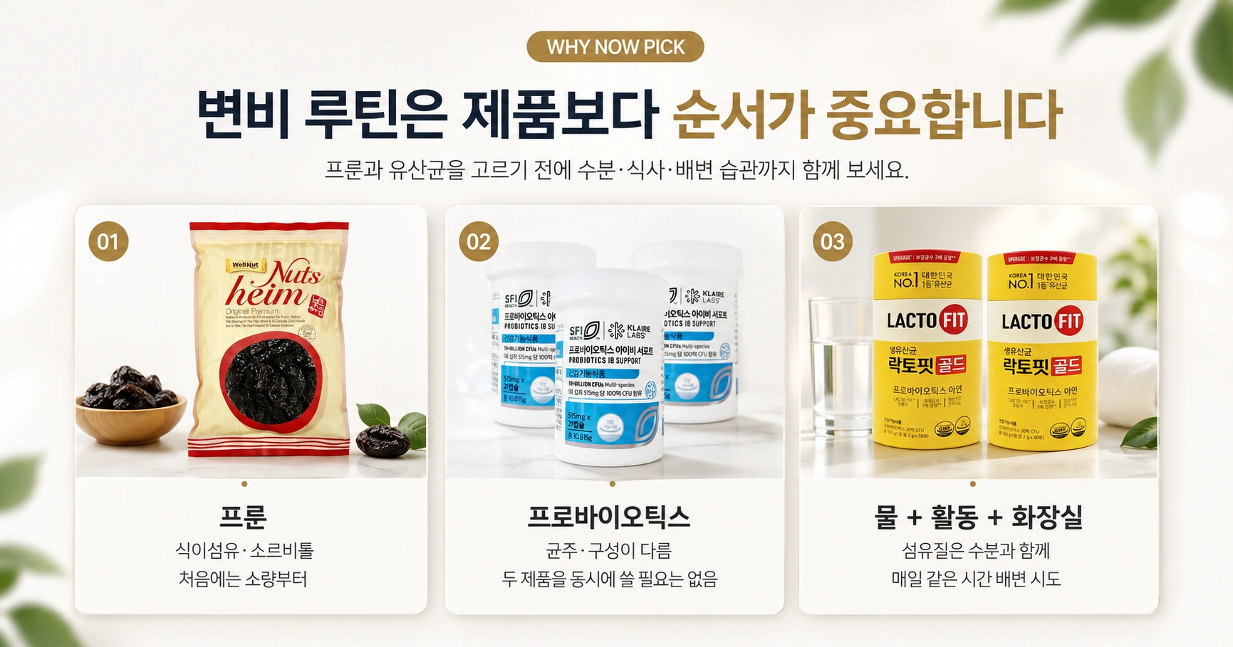 프룬 유산균 수분 활동을 함께 보는 변비 루틴 가이드