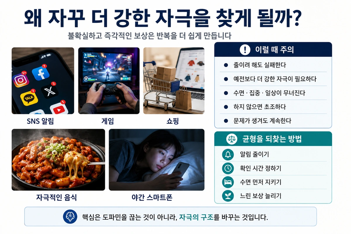 SNS 게임 쇼핑 음식 등 일상에서 반복 보상을 강화하는 자극의 예를 보여주는 내부이미지