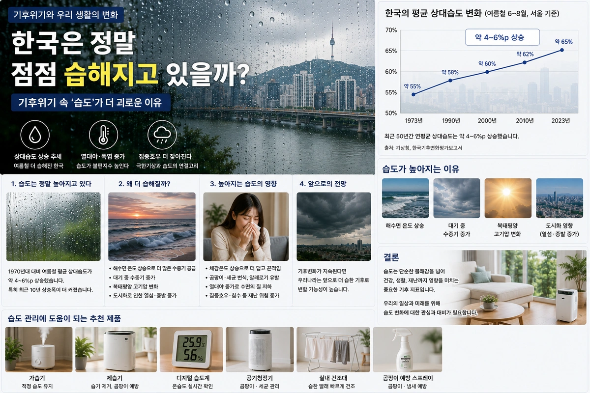 비 오는 도시, 호흡기 불편, 실내 습기 관리 장면을 실사 중심으로 구성한 내부이미지