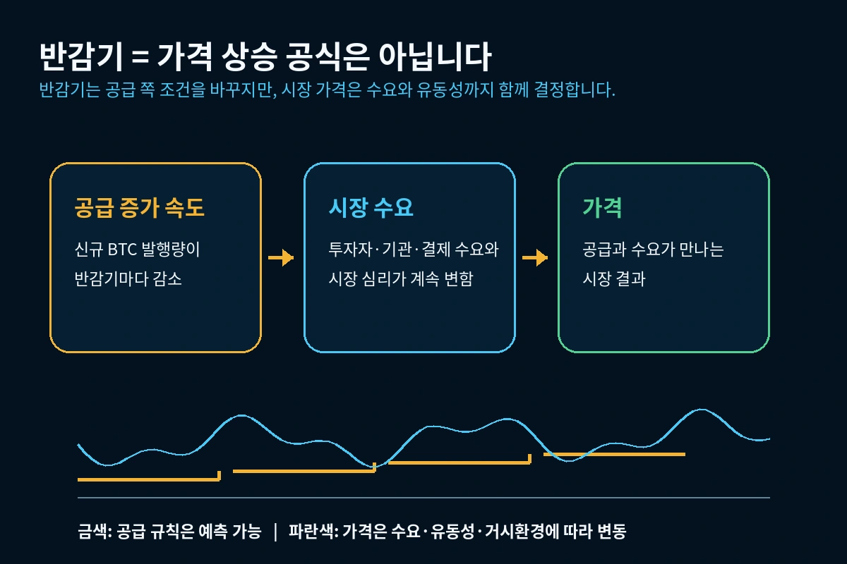 비트코인 반감기와 시장 가격이 동일한 공식이 아닌 이유를 공급과 수요로 설명하는 그래프