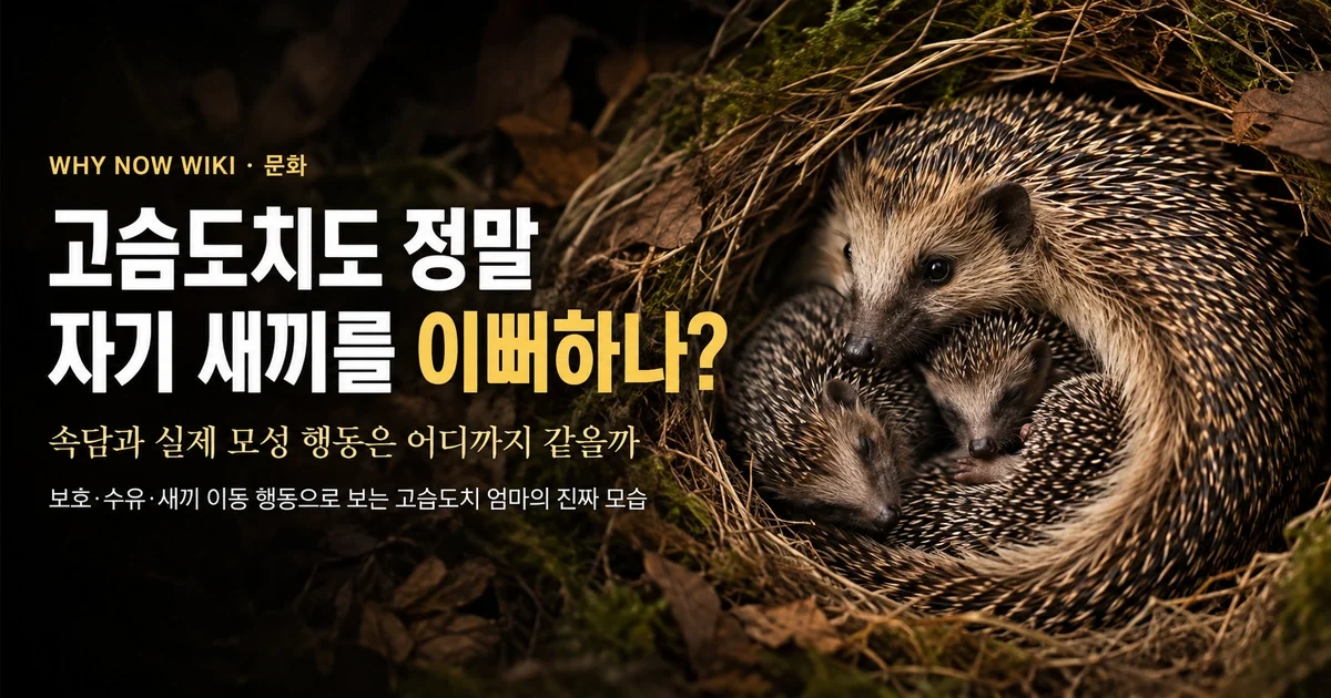 고슴도치도 제 새끼는 예뻐할까? 속담과 실제 모성 행동은 다릅니다