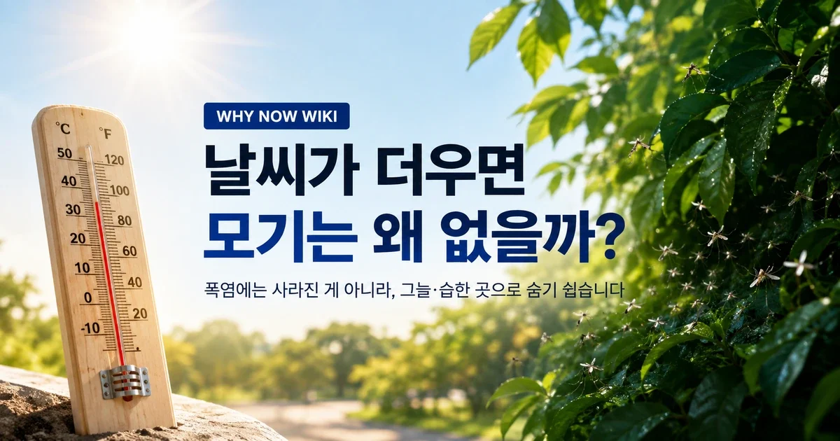 폭염이면 모기가 사라질까? 한낮에 덜 보이는 이유와 다시 늘 때