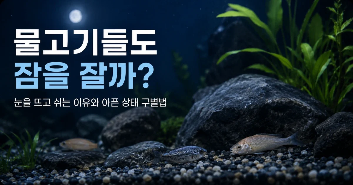 물고기도 잠을 잘까? 정상 휴식과 아픈 상태를 구별하는 기준