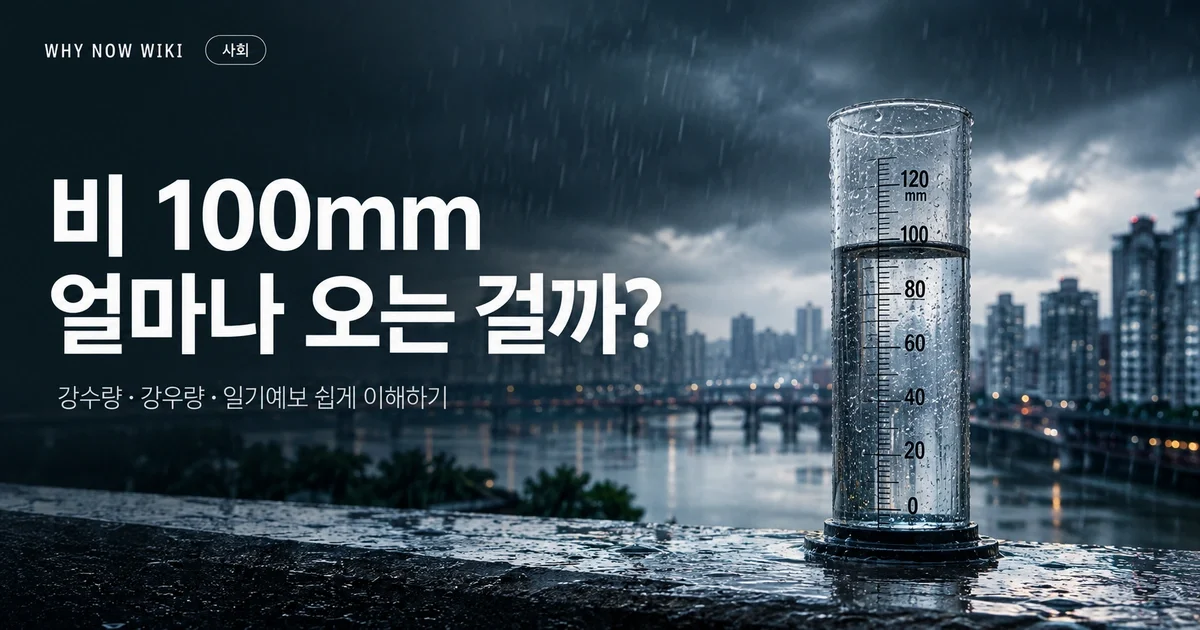 강수량 100mm, 얼마나 많은 비일까? 시간당 강수량과 침수 위험 읽는 법