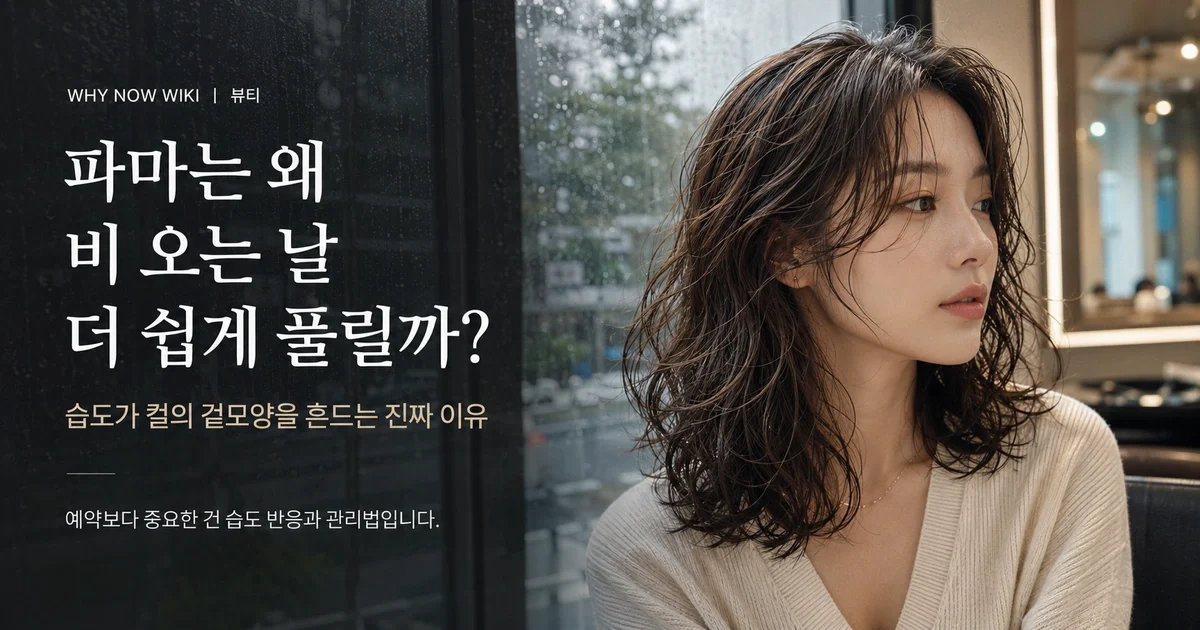 비 오는 날 파마가 풀리는 이유, 습도가 바꾸는 건 따로 있습니다