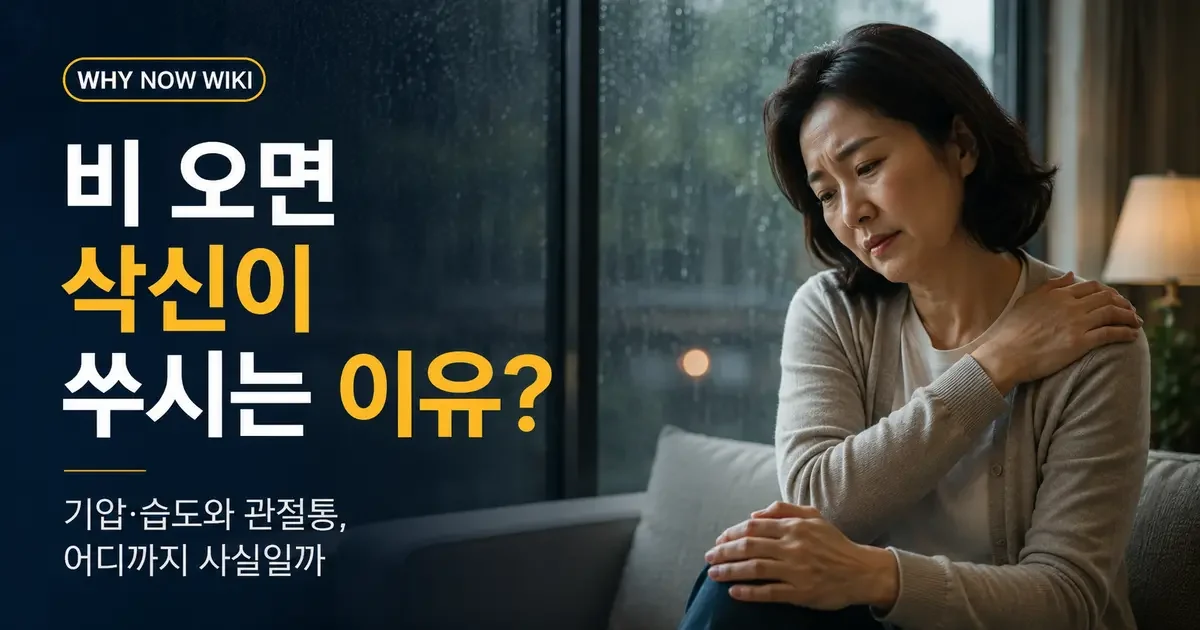 비 오면 삭신이 쑤시는 이유, 정말 기압 때문일까?