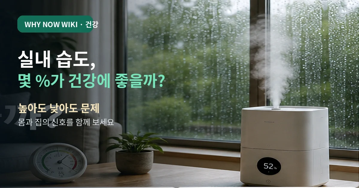 실내 습도 몇 %가 건강에 좋을까? 높아도 낮아도 문제인 이유