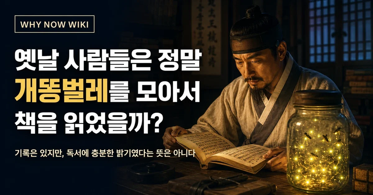 개똥벌레로 책을 읽었다? 차윤의 ‘낭형’ 기록, 실제로 가능했을까