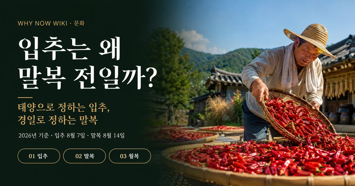 입추 뒤에 말복이 오는 이유, 삼복 계산법을 알면 순서가 안 헷갈립니다