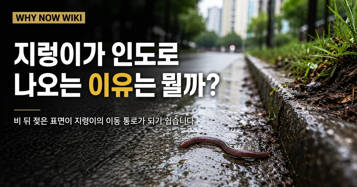 비 온 뒤 지렁이가 인도로 나오는 이유, 익사 때문만은 아닙니다