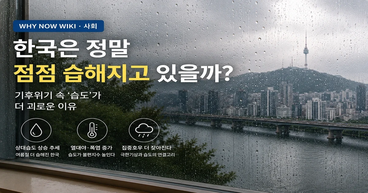 한국은 정말 점점 습해지고 있을까? 기후위기 속 ‘습도’가 더 괴로운 이유